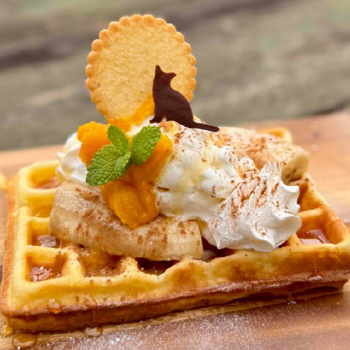 kiriクリームチーズのアイスとパンプキンハニーワッフル